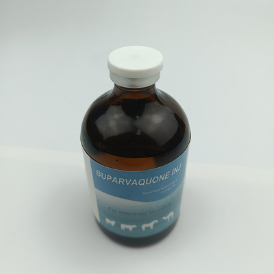 GMP Veterinary Injectable Drugs Buparvaquone 50mg/Ml For Cattle Calves Sheep Goats Dogs Cats